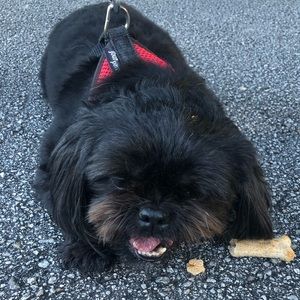 Meet your Posher, Vijjearta